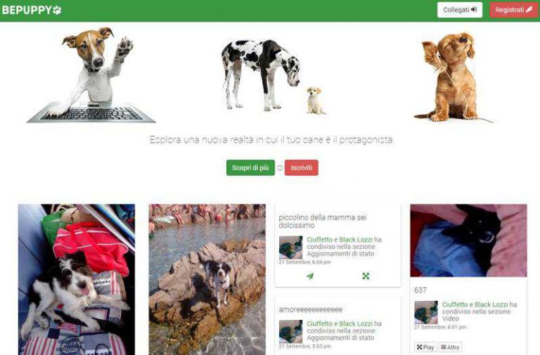 BePuppy spopola in Italia il social network per animali