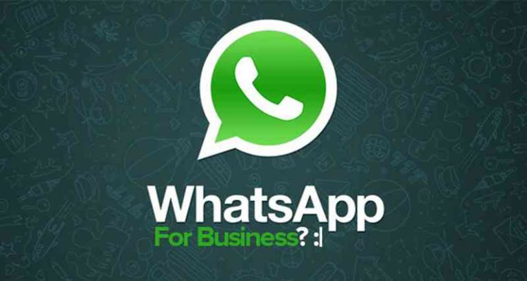 whatsapp per le aziende