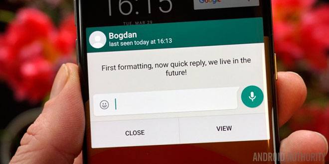 WhatsApp per Android si aggiorna: arrivano le risposte rapide