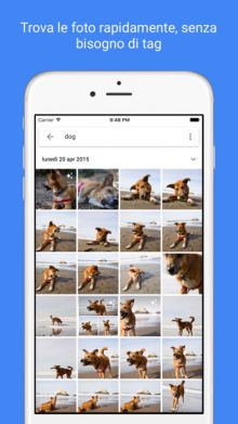 Google Foto iOS si aggiorna: trasforma LIve Photo in GIF