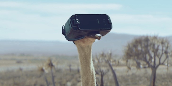 Galaxy S8 e Gear VR, uno struzzo prova la realtà virtuale Samsung