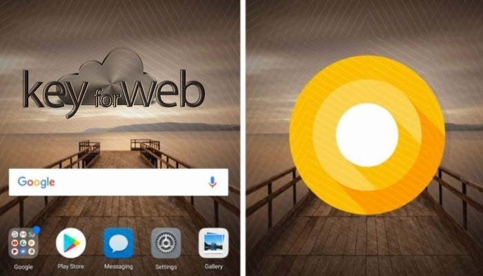 Android Oreo per Huawei Mate 9 sempre più vicino