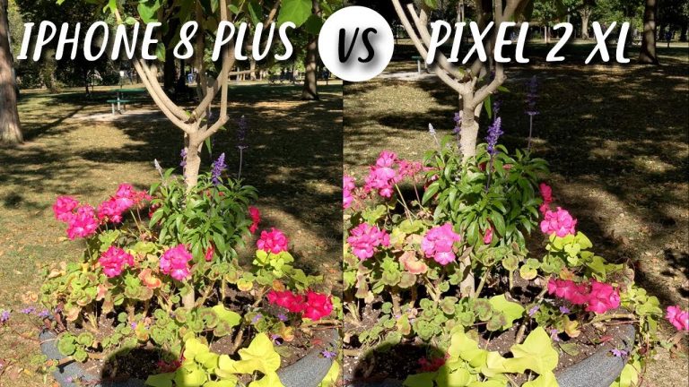 Google Pixel 2 XL vs iPhone 8 Plus in un primo camera test