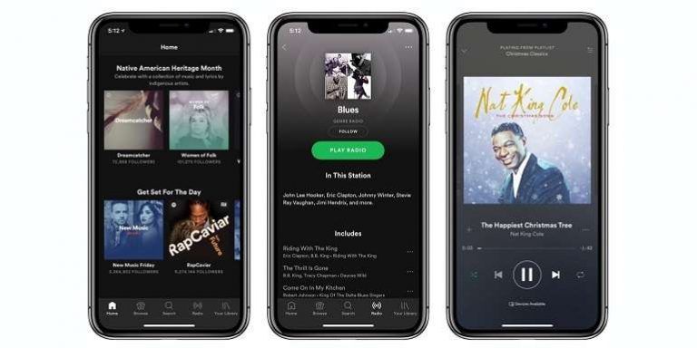 Spotify iPhone X