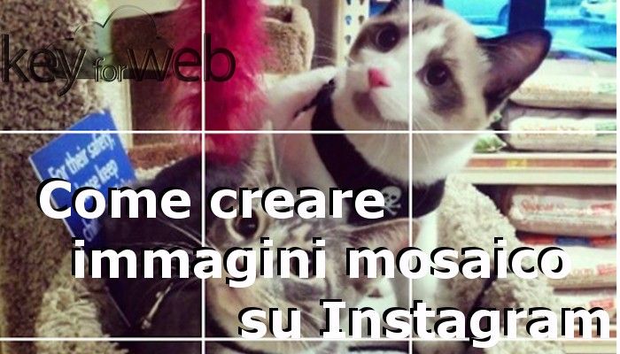 Come creare immagini mosaico su Instagram