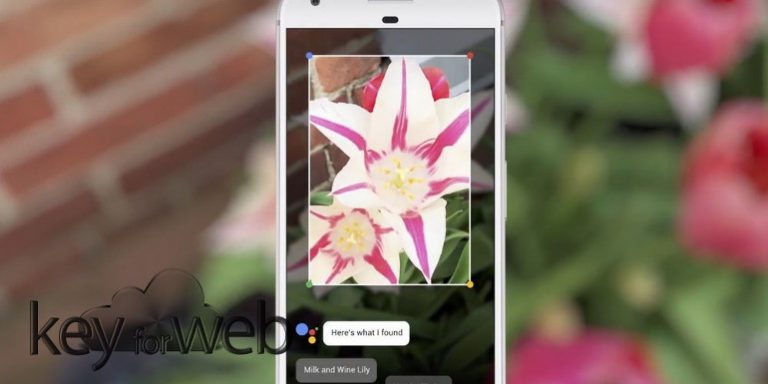 Google Lens arriva su tutti i dispositivi Android con Google Foto