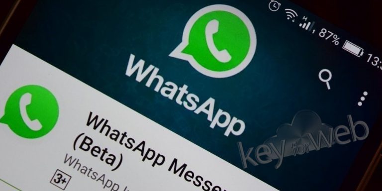 WhatsApp Beta si aggiorna su Android, ecco le novità