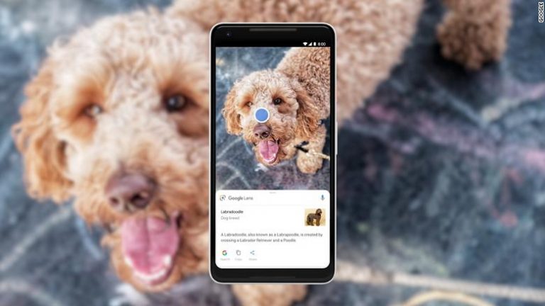 Google Foto: arrivano nuove funzionalità grazie alla AI